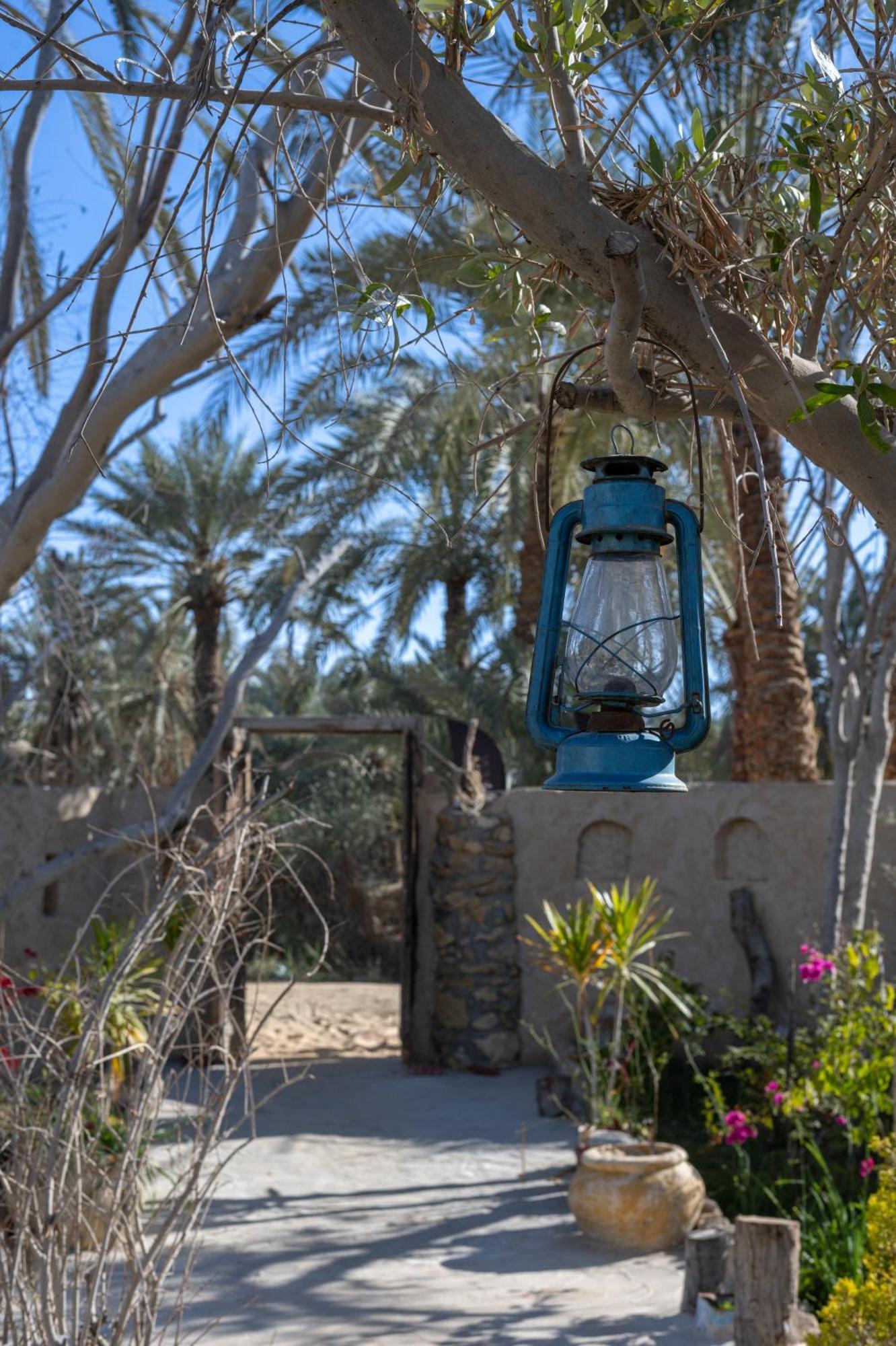 Olive Garden House Siwa Albergue Siwa Oasis Exterior foto