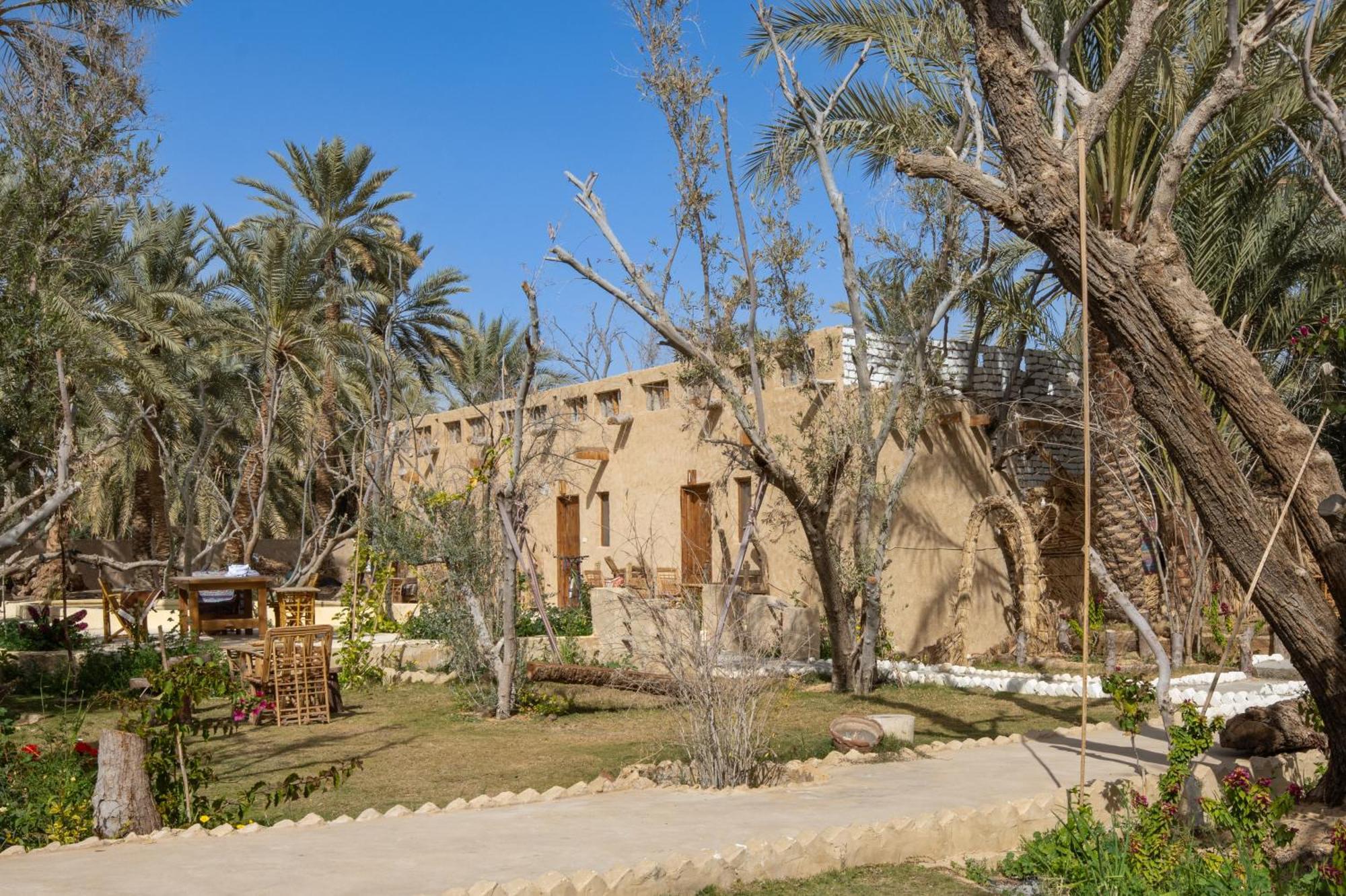 Olive Garden House Siwa Albergue Siwa Oasis Exterior foto